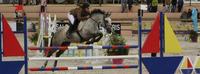 ECOLE D'EQUITATION EXPERIMENTEE